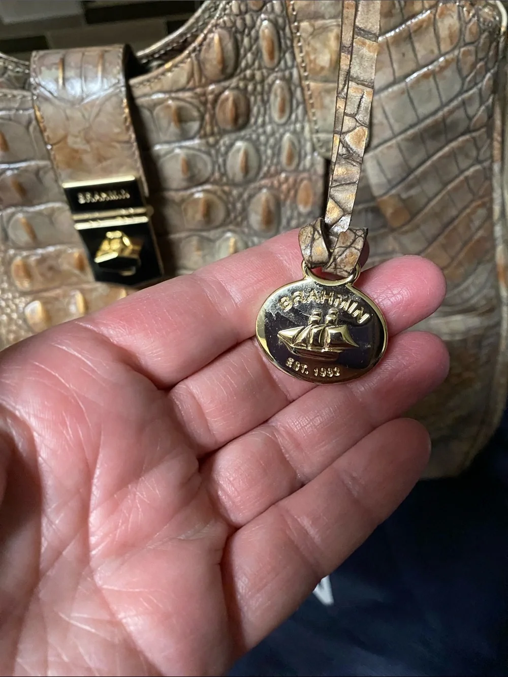 Brahmin Elisa satchel